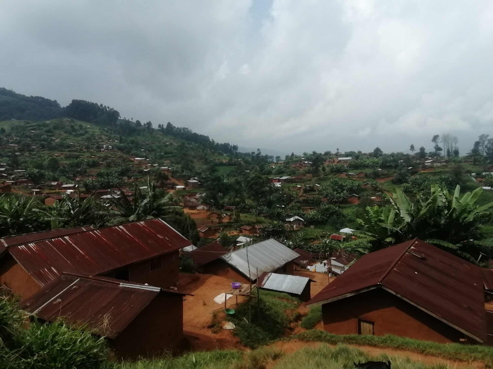 RAPPORT DE LA MISSION SUR L'EVALUATION DE LA SITUATION HUMANITAIRE ; A télécherger