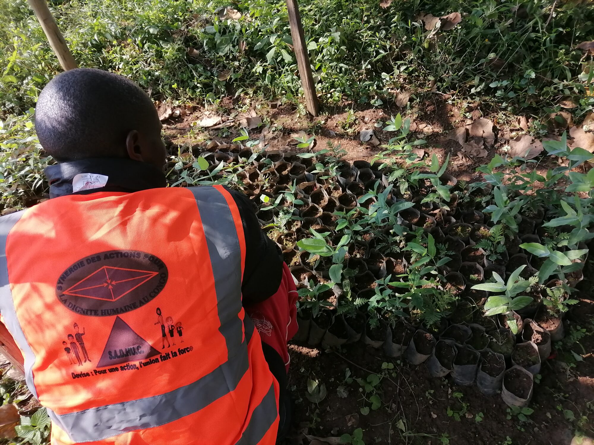 SADHUC-ONG: Dans le cadre de la protection de l'environnement et contribuer au développement durable