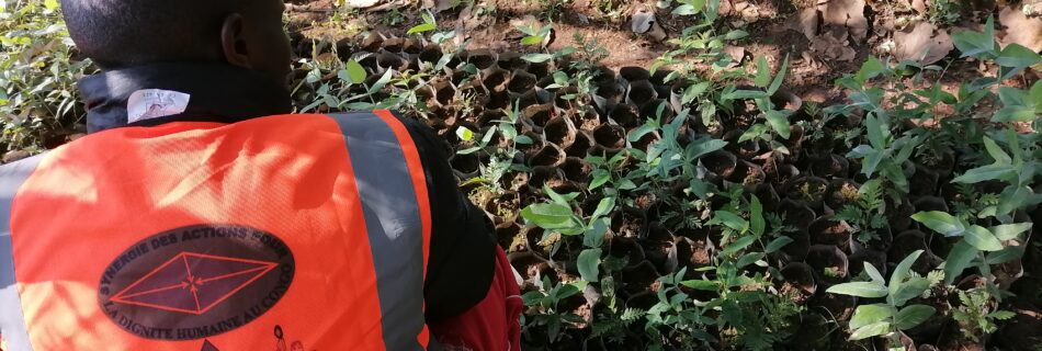 SADHUC-ONG: Dans le cadre de la protection de l'environnement et contribuer au développement durable